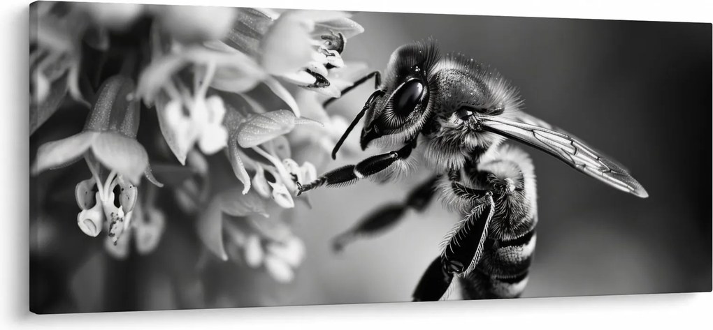 Kép - A méh részlete (120x50 cm)