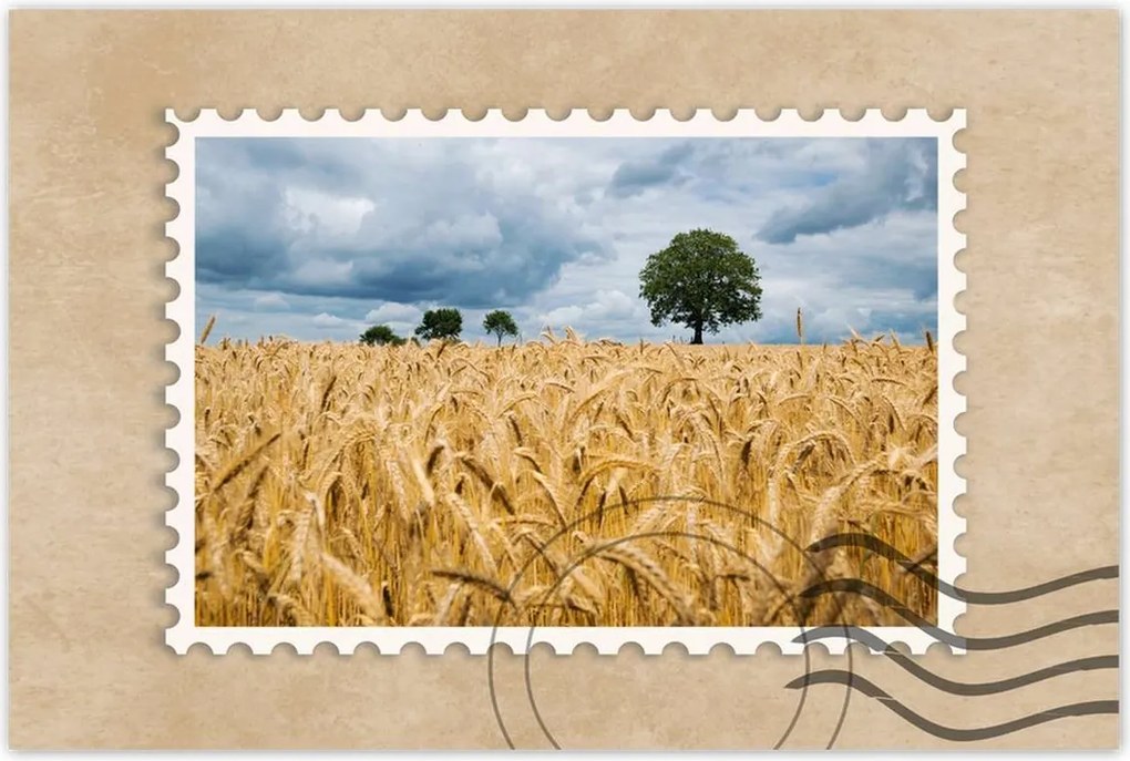 Poszterek 60x40 Aratás előtti mező Rozs