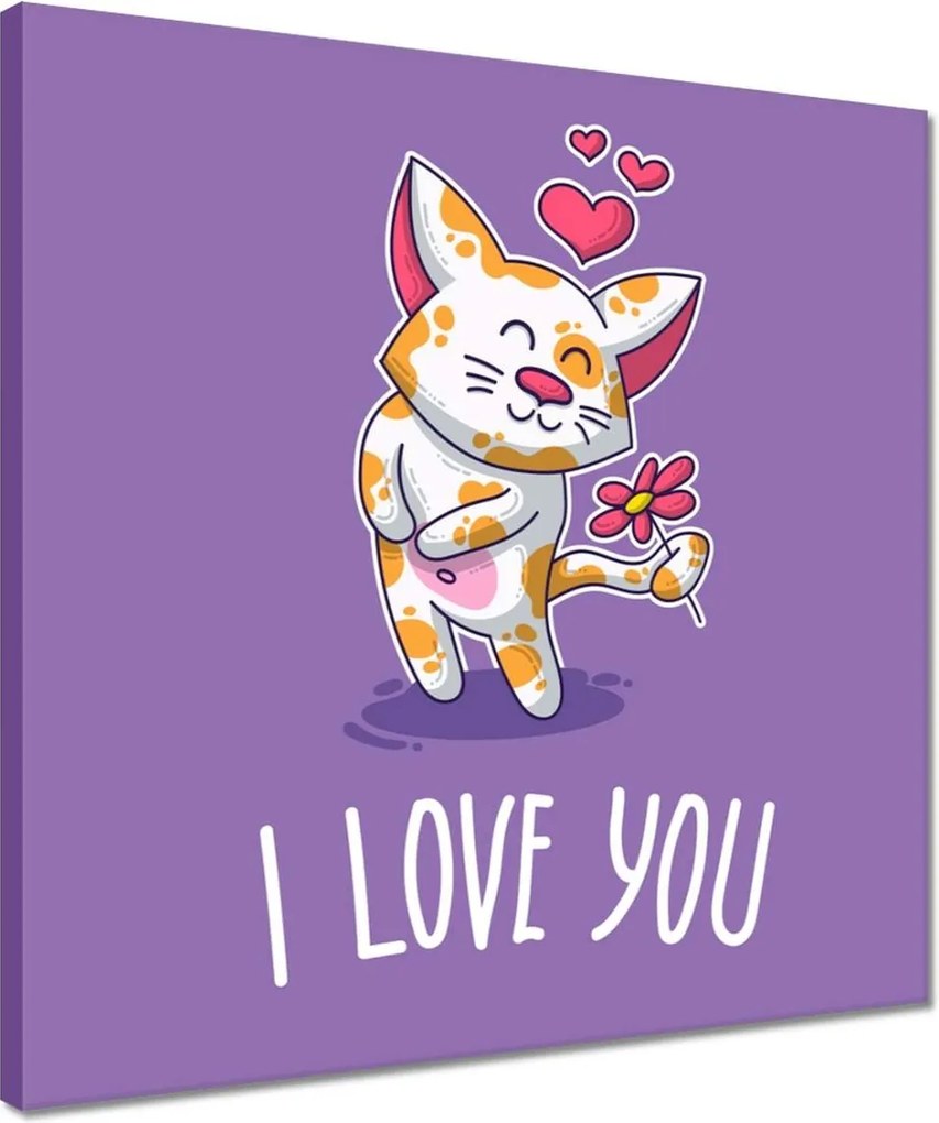 Vászonkép 40x40 Cica