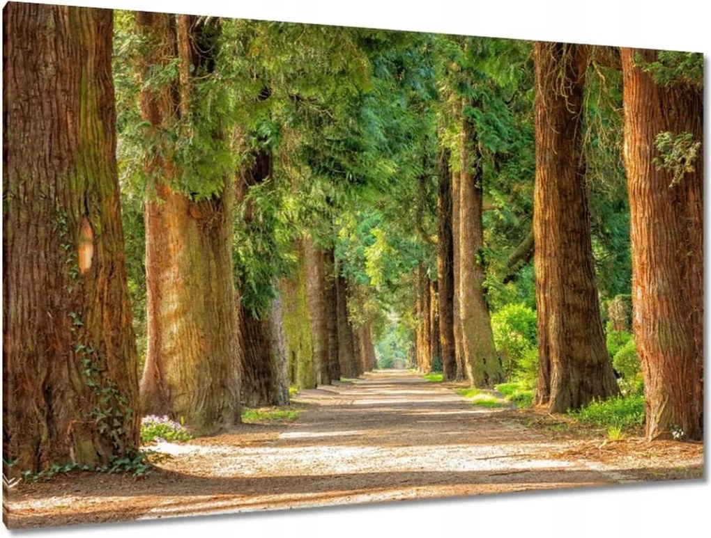 Festmények 120x80 Tájkép