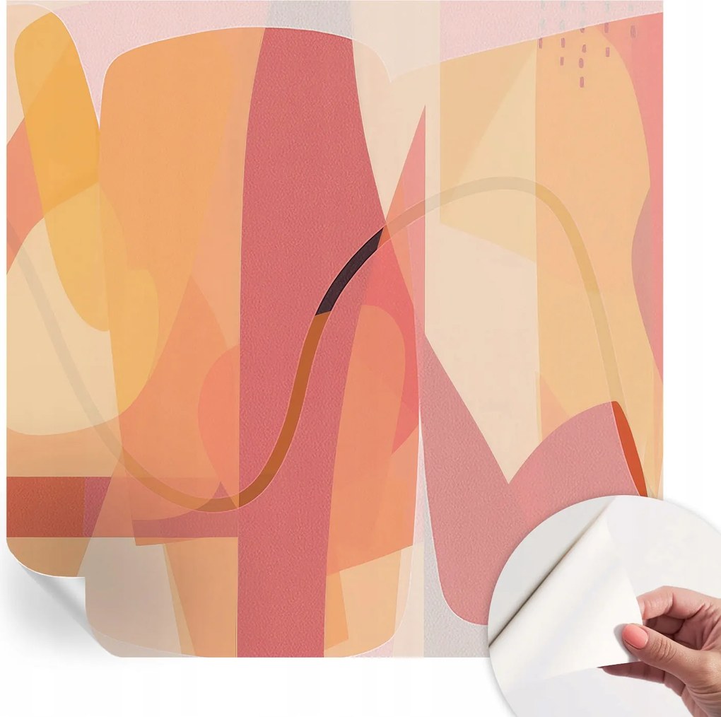 Matt öntapadós fotótapéta Falra Színes absztrakt 250x250 cm