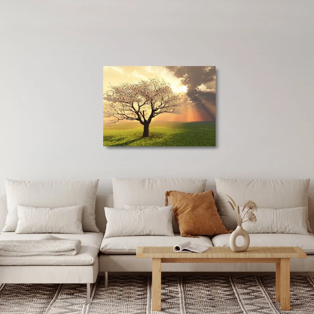 Fa képe a réten (üvegen) (70x50 cm)