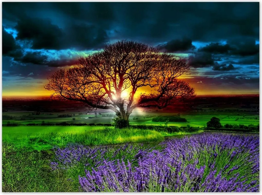 Poszterek 135x100 Az élet fája