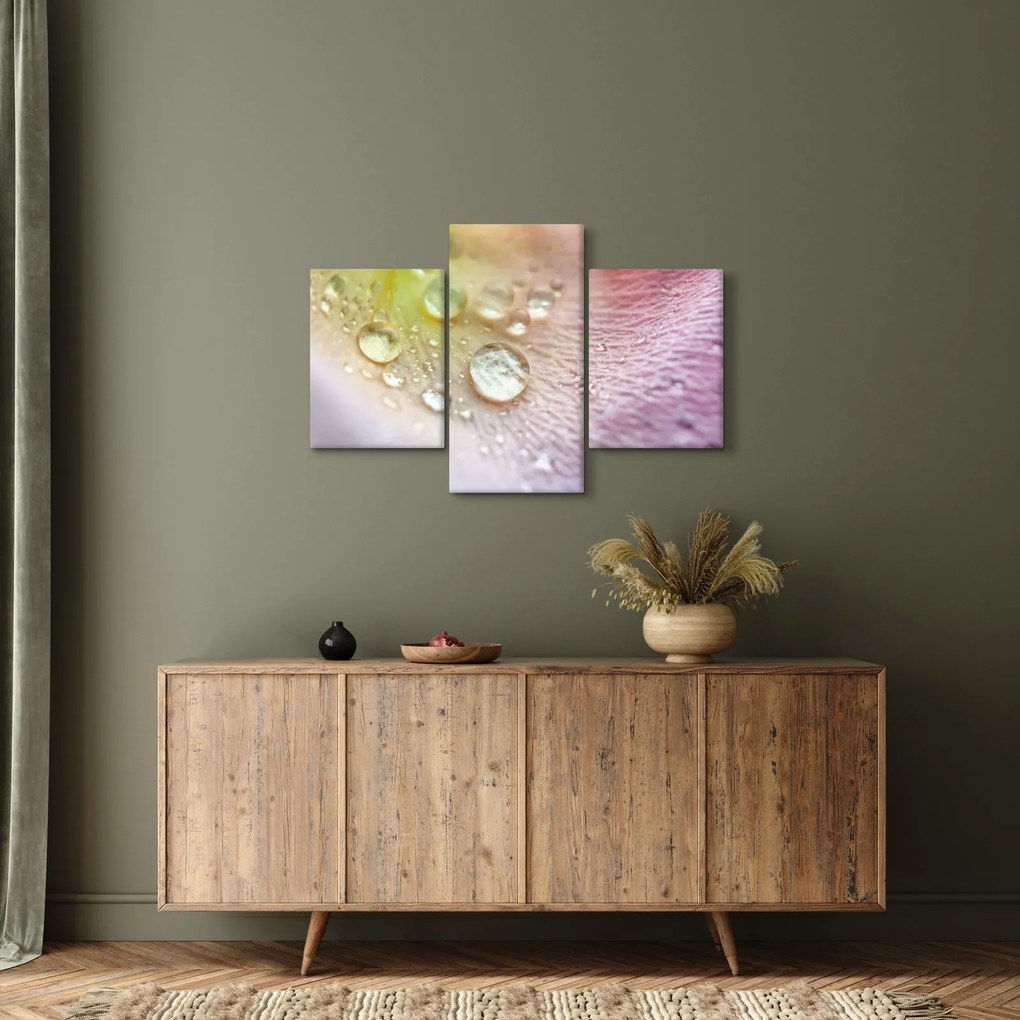 Kép - Harmatcseppek (90x60 cm)