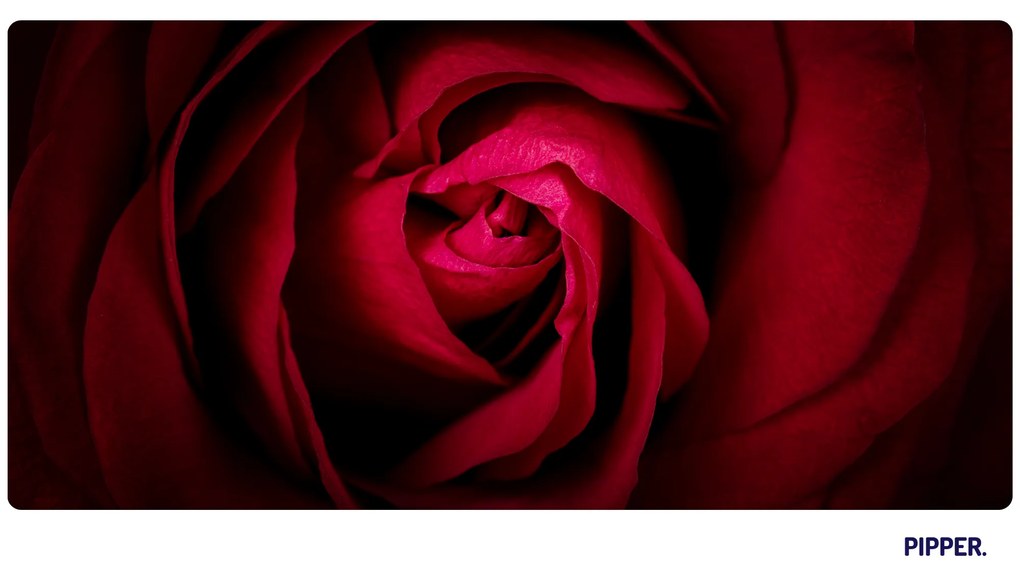 PIPPER. Öntapadós textiltapéta "Rózsa"