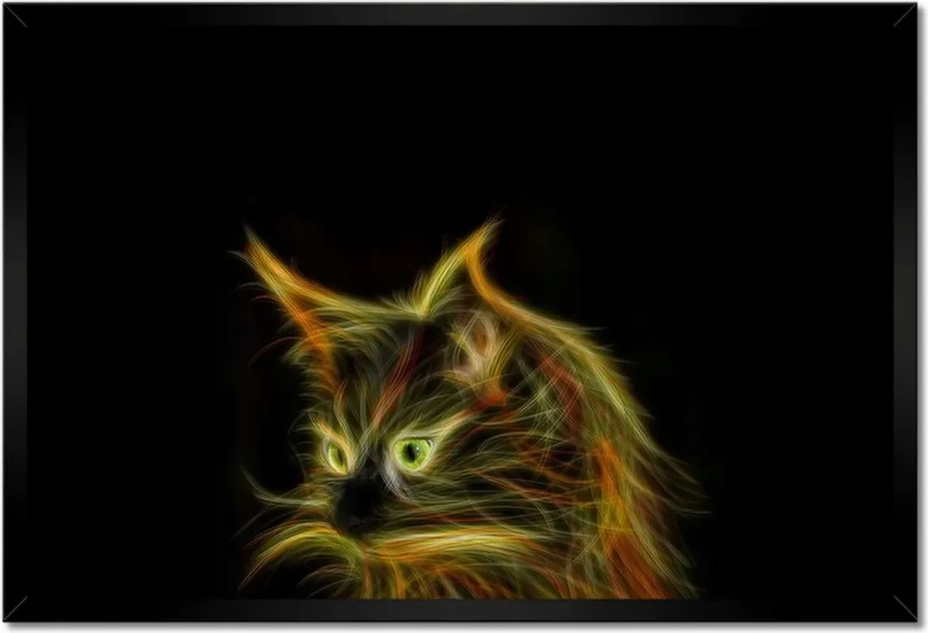 Bekeretezett plakátok 60x40 Földöntúli macska