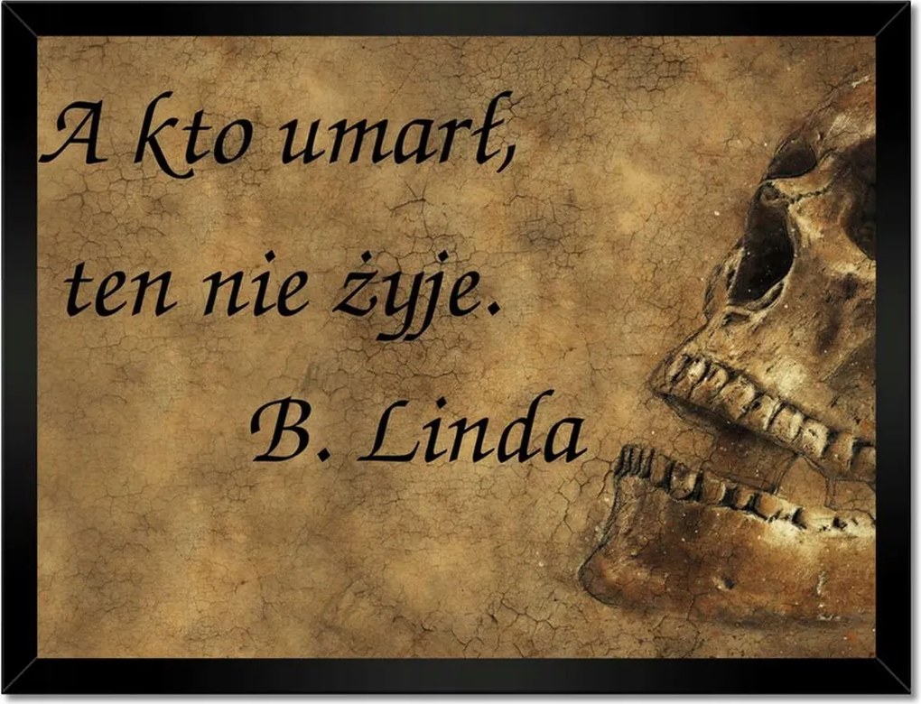 Poszterek keretben 40x30 Idézet a kutyákról