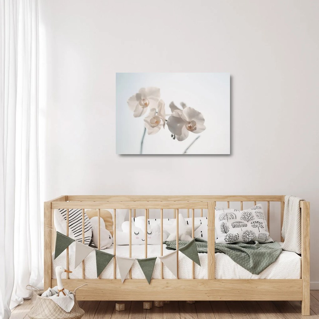 Fehér orchidea képe (üvegen) (70x50 cm)