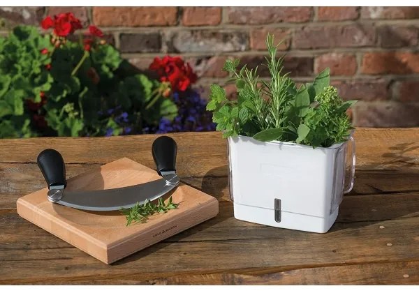 Cole&Mason - Tartály frissen vágott fűszernövények tárolására