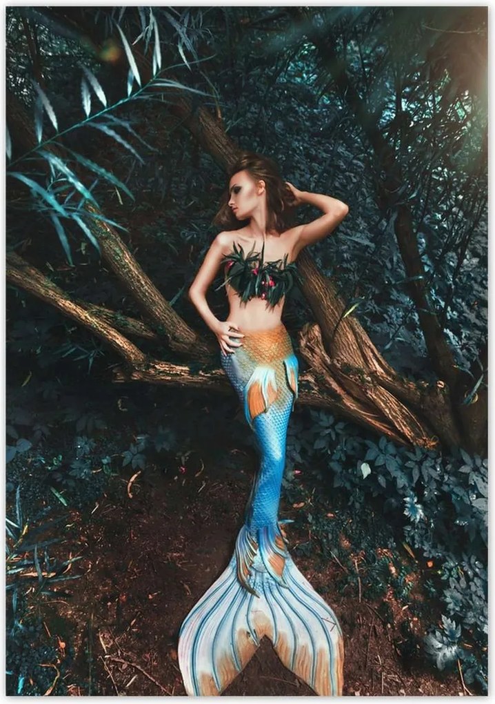 Poszterek 70x100 HardCore Design Photo Hc