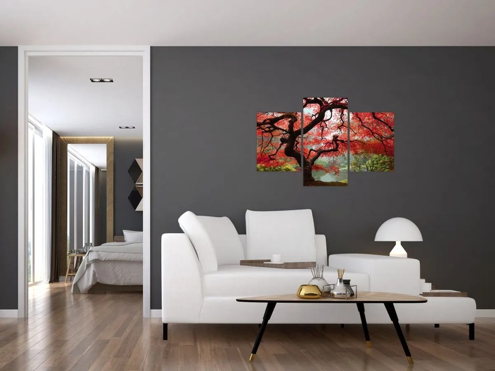 Red Japanese Maple, Portland, Oregon képe (90x60 cm)