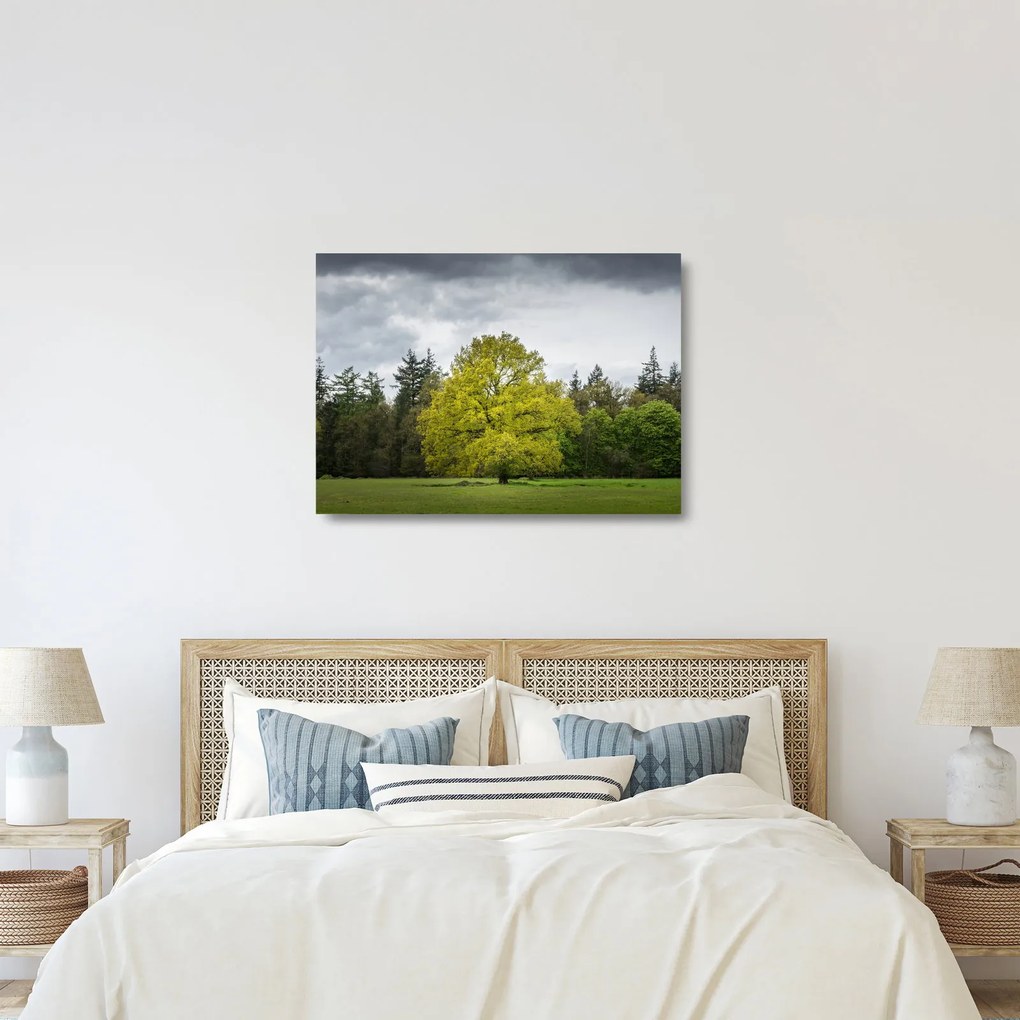 Egy zöld fa képe a mező közepén (üvegen) (70x50 cm)