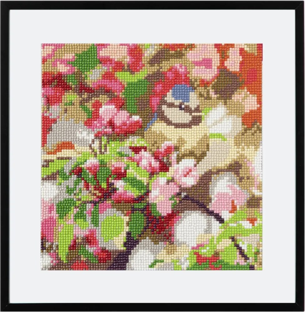 Állatos Bird gyémántszemes kirakó 30x30 cm