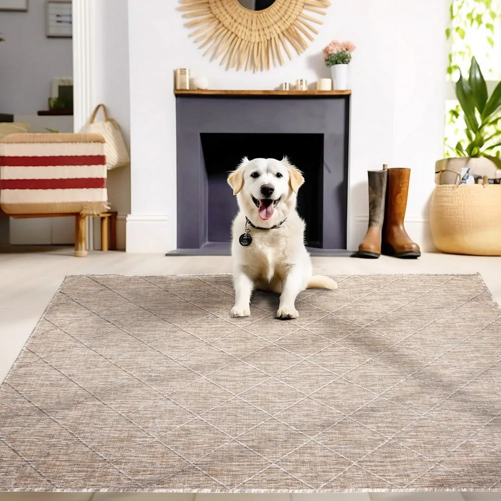 Bézs kültéri szőnyeg 160x230 cm Zagora – Ayyildiz Carpets