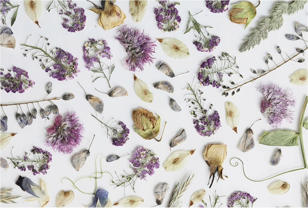 Dekoratív fotótapéta Falra Könnyű Felszerelés Szárított virágok 104x70 Ragasztó