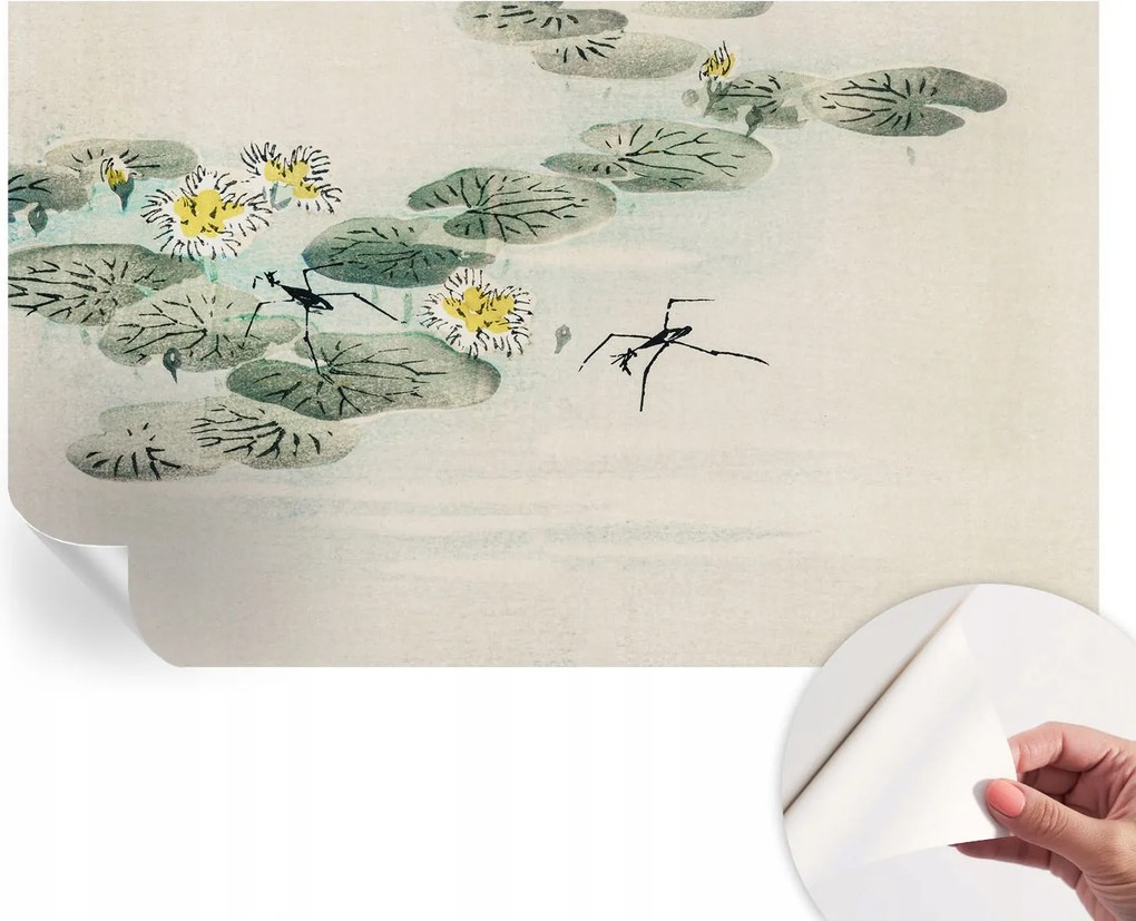 Öntapadós fotótapéta Nappaliba és Hálószobába Csendes víz 416x254