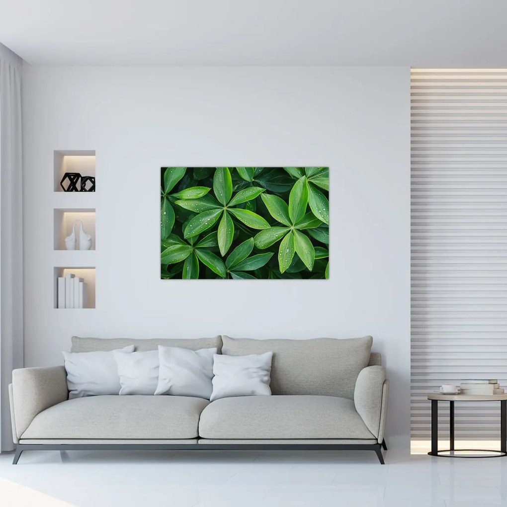 Kép - Levelek harmatcseppekkel (90x60 cm)