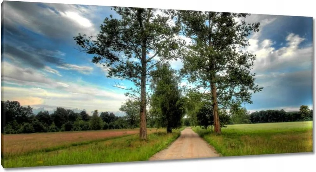 Festmények 115x55 Vidéki út