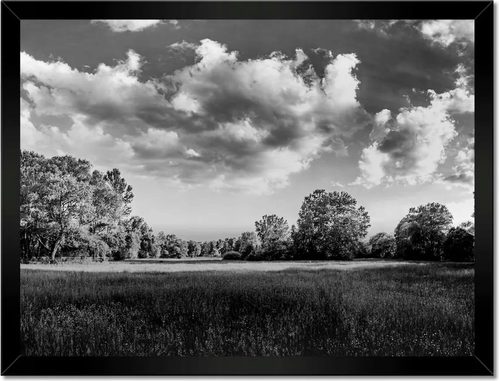 Poszterek keretben 40x30 Vidéki réti táj