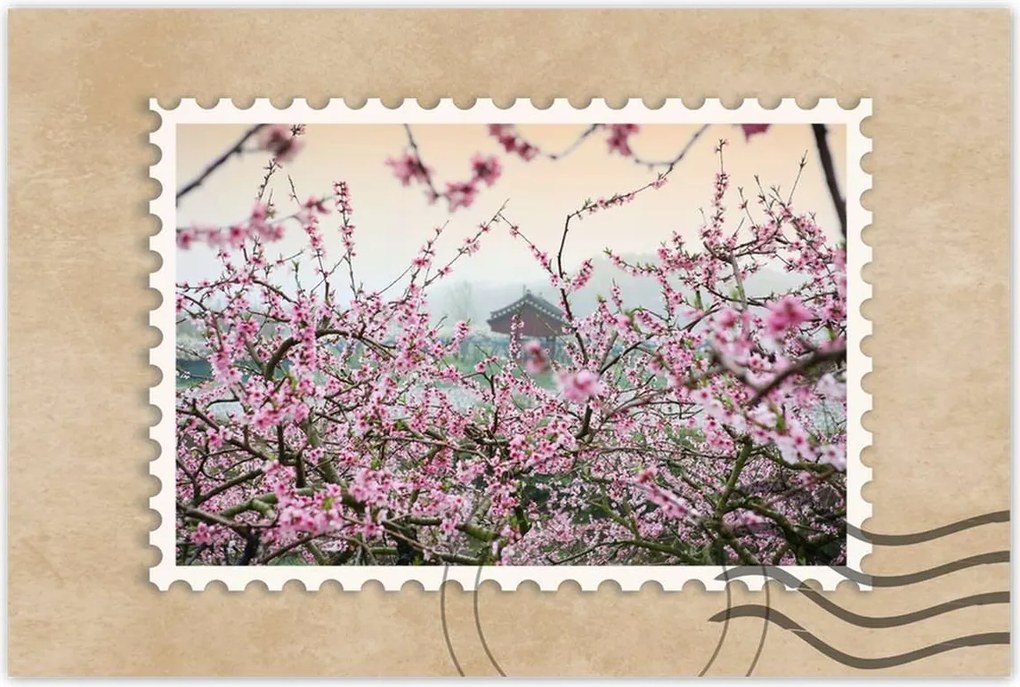 Poszterek 60x40 Japán Orient Buddhizmus