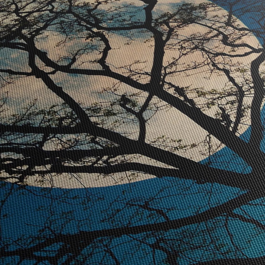 Fa képe teliholdkor (70x50 cm)