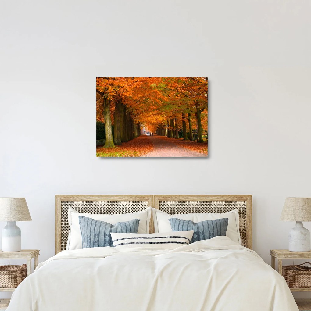 Üveg kép - A Avenue of fák ősszel (70x50 cm)