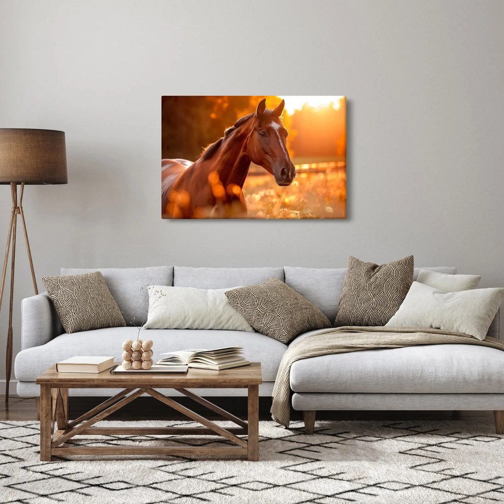 Kép - Ló a naplementében (90x60 cm)