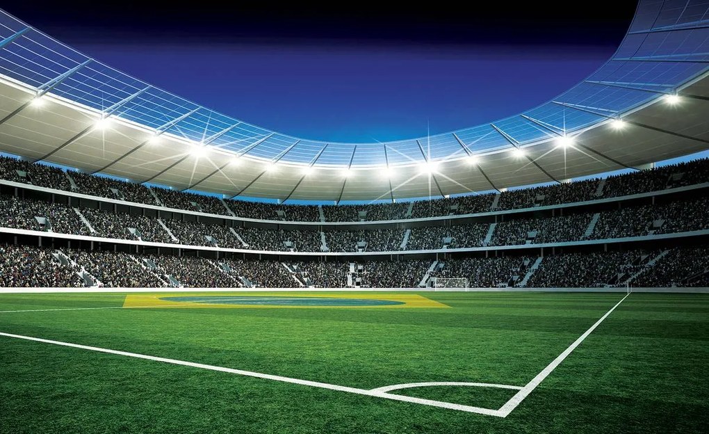 Fotótapéta - Futballpálya (254x184 cm)