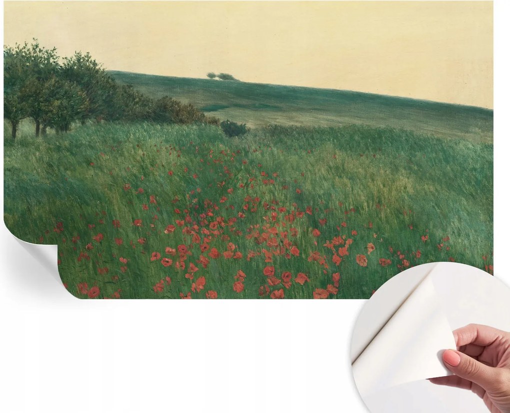 Dekoratív öntapadós fotótapéta Hálószobába Pipacs mezők 416x254 cm