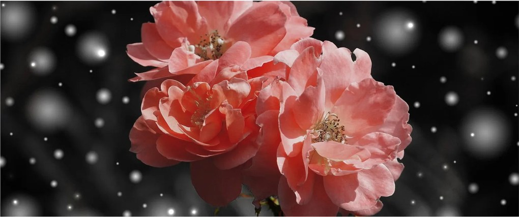 Rózsaszín virág képe (120x50 cm)