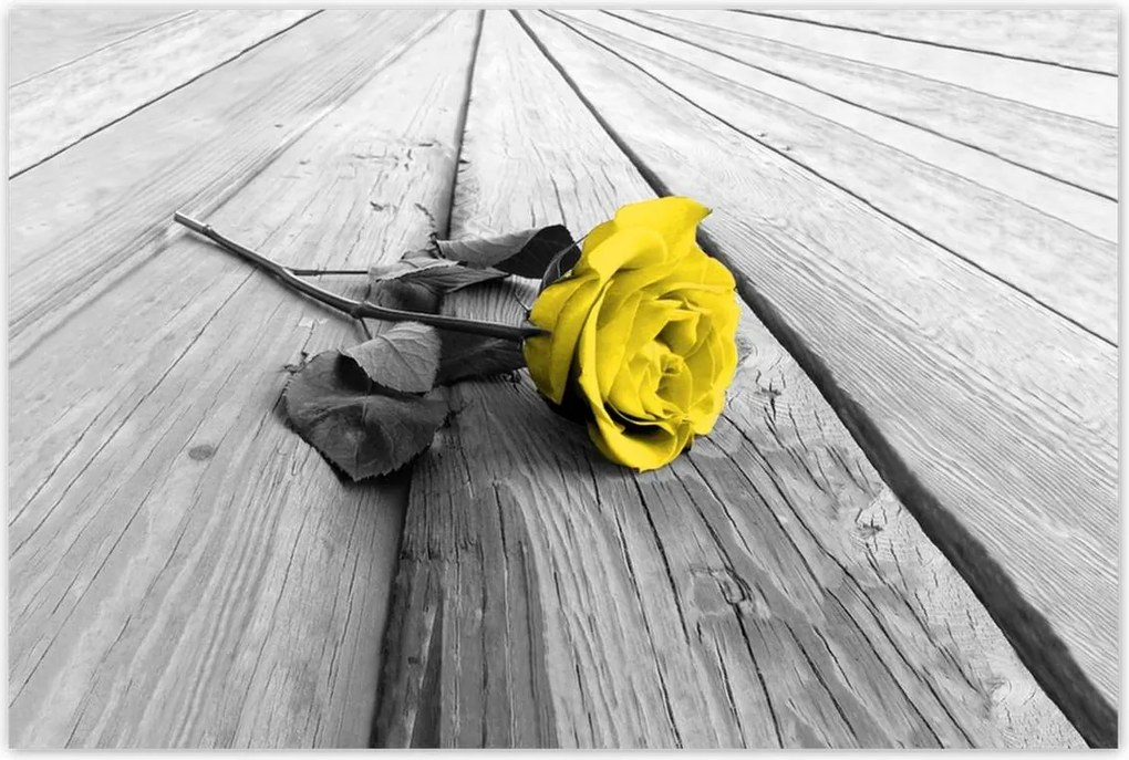 Poszterek 120x80 Sárga rózsa a deszkákon