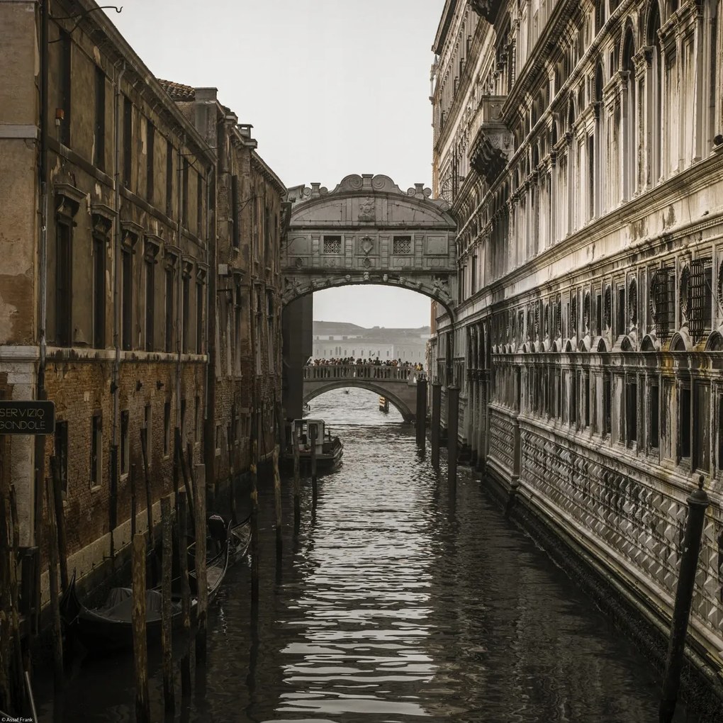 Poszter 40x40cm Kilátóhíd, Assaf Frank