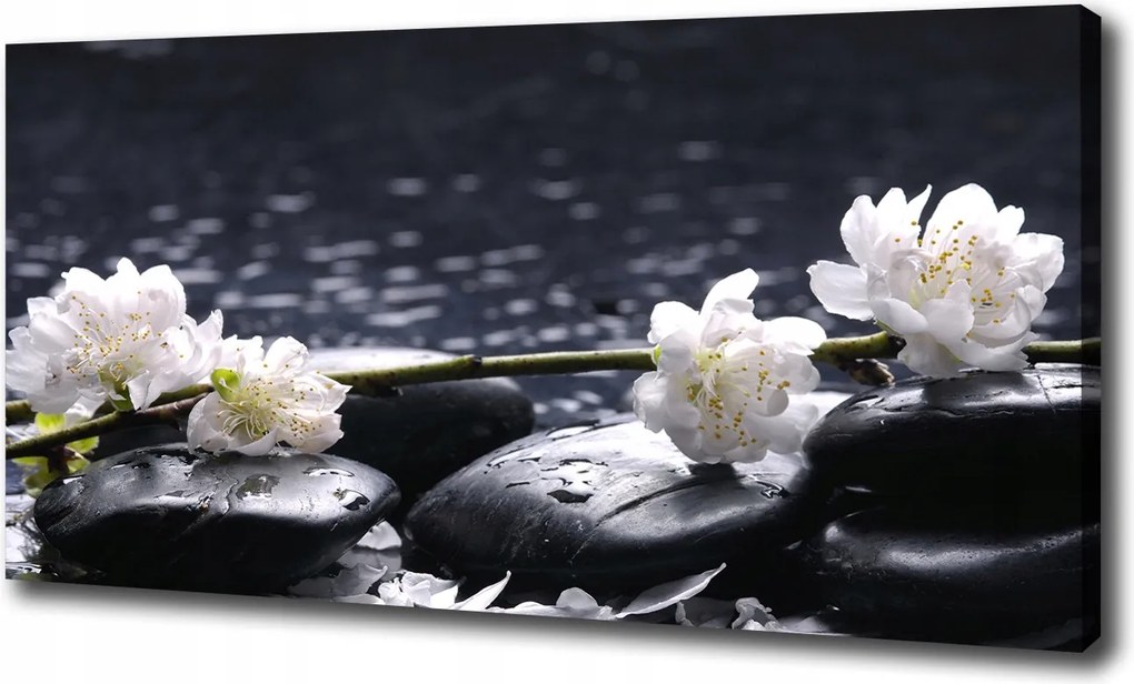 Canvas falikép Cseresznyevirág 100x70 cm