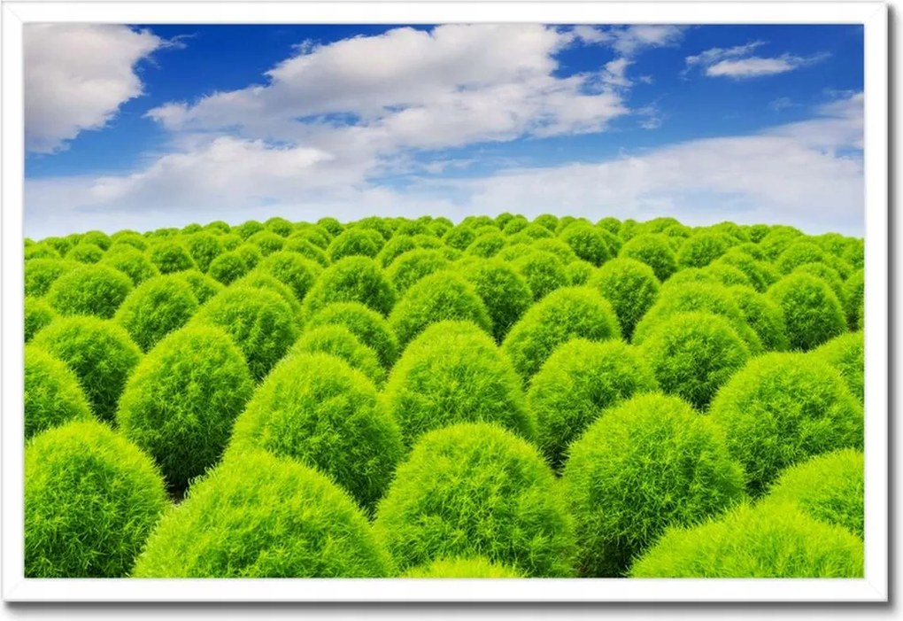 Poszterek keretben 60x40 Zöld tekintet Völgy