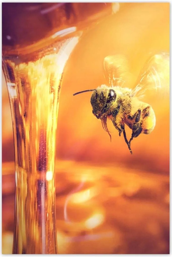 Poszterek 80x120 Csöpögő méz befőttes üvegből