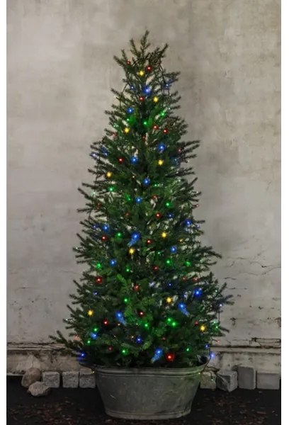 Eglo 410719 - LED Kültéri karácsonyi lánc SERIE LED 160xLED 2m IP44 többszínű