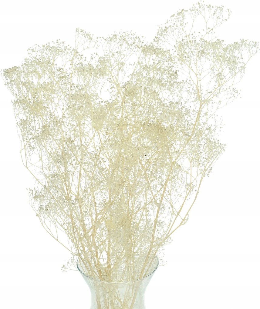 Stabilizált Gipsz Fehér Mini Dekorációs Csokor Szárított Virágok Prémium