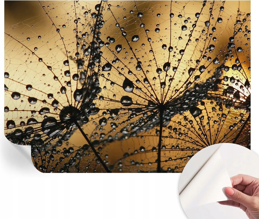 Öntapadós fotótapéta Divatos Finom cseppek 312x219 cm