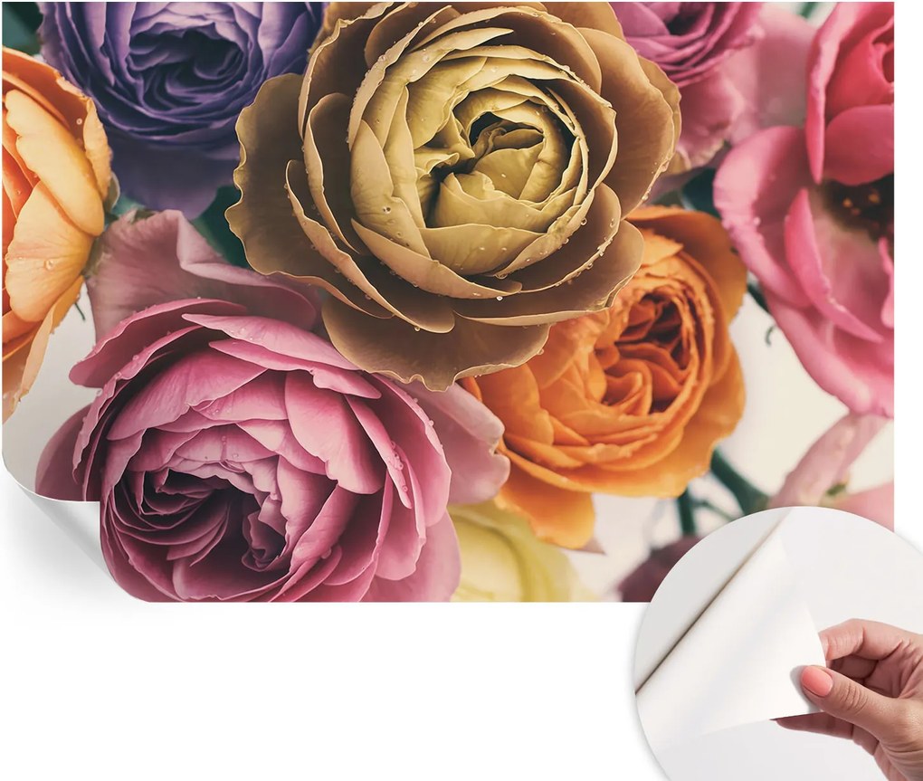 Öntapadós tapéta Divatos 3D fali ragasztóval Színes rózsák 104x70 cm