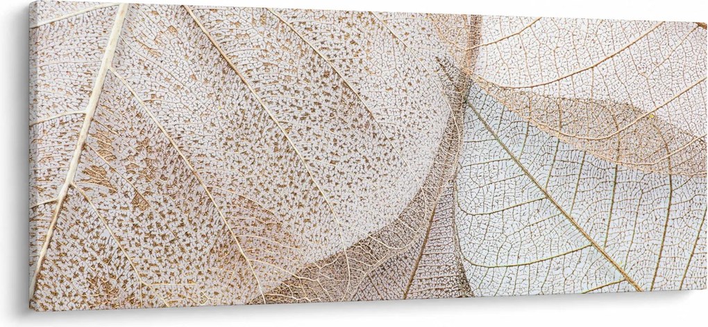Kép - Bézs levelek (120x50 cm)