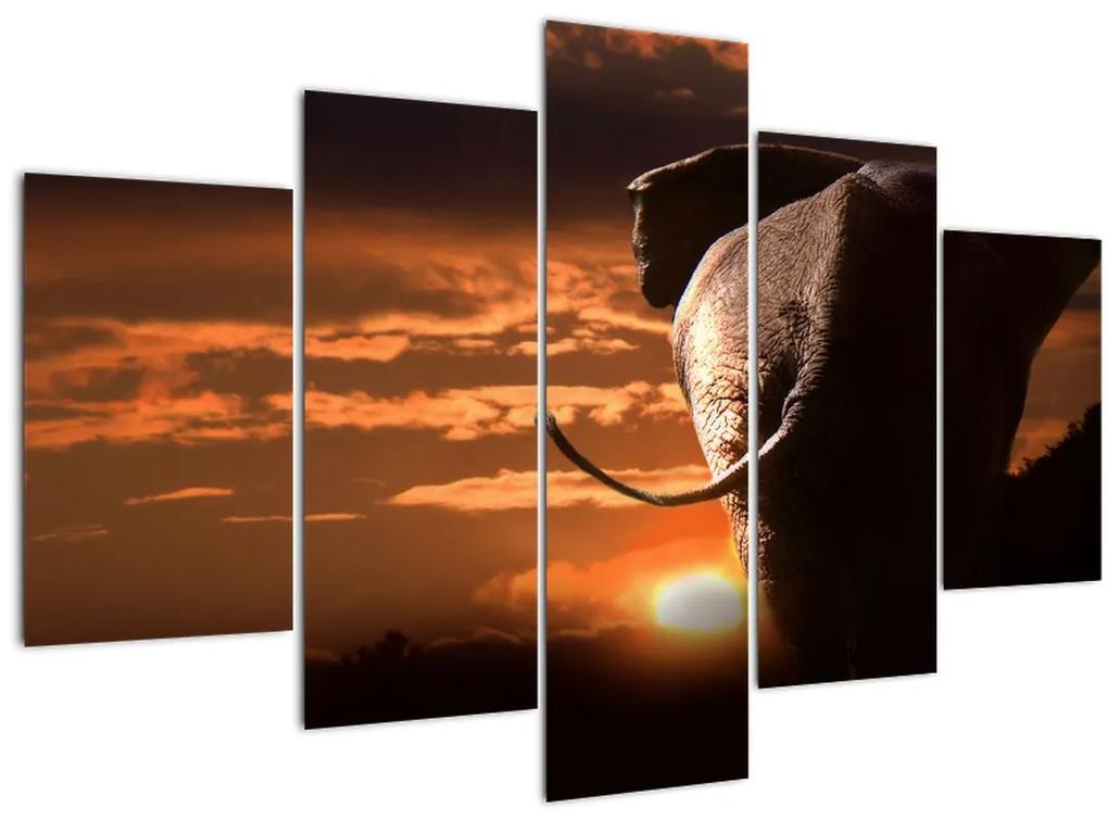 Elefánt képe (150x105 cm)