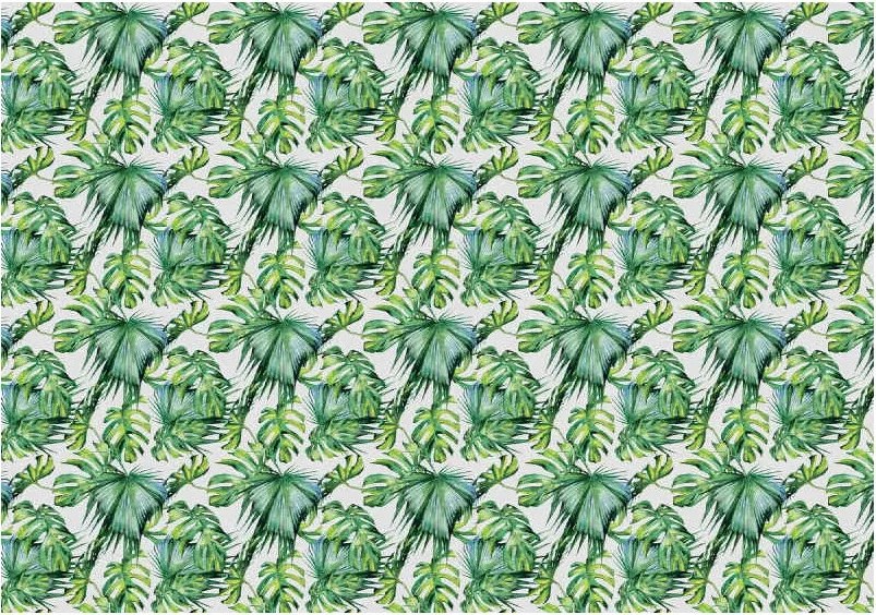 Fotótapéta Trópusi levelek Monstera Pálma Zöld Paradicsom 200x140 +ragasztó
