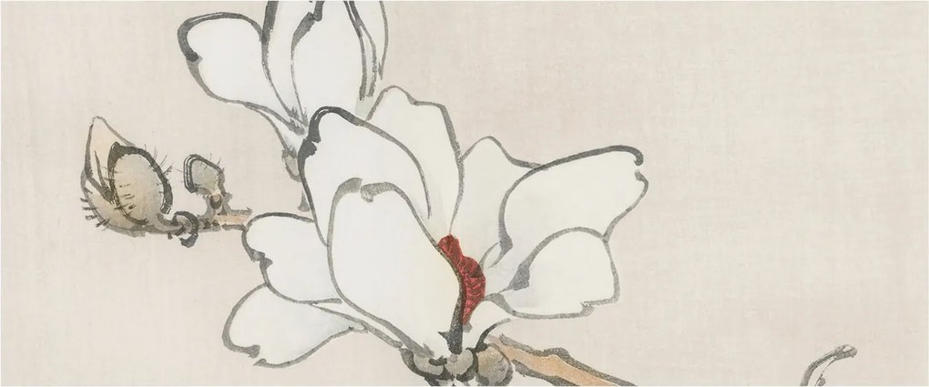 Dekoratív Fotótapéta Fali Falra Finom magnólia 250x104 Ragasztó