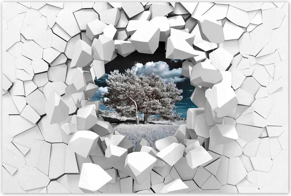 Poszterek 60x40 Fenséges fa