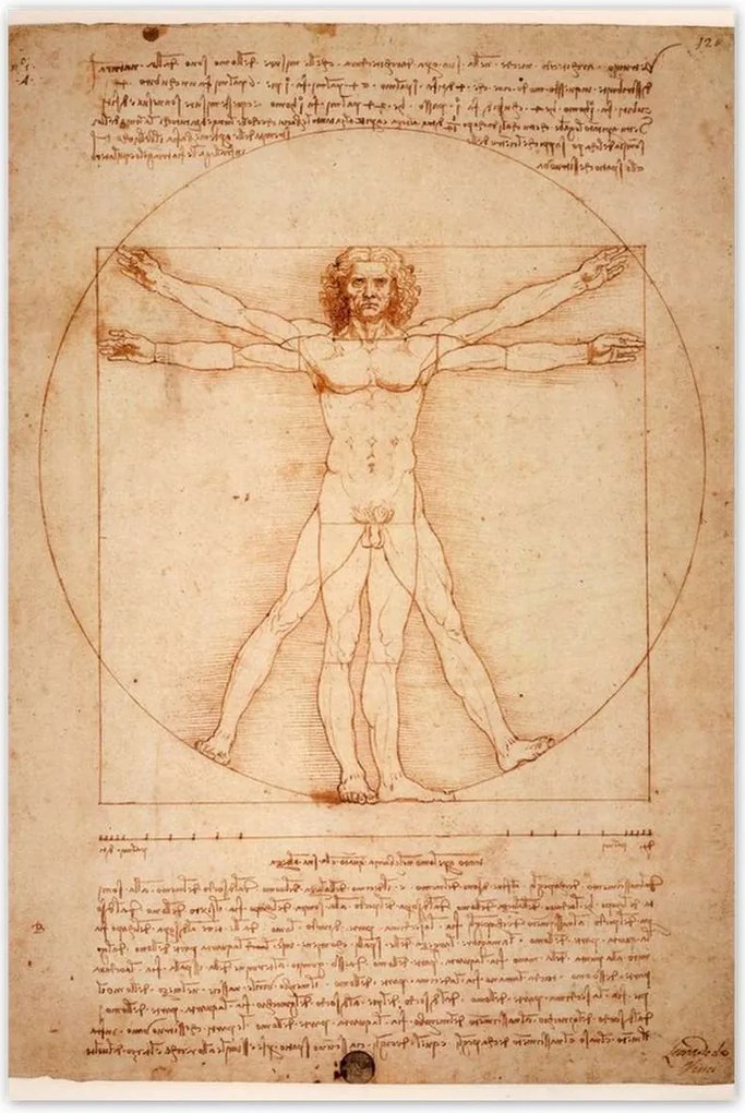 Poszterek 60x90 Vitruvius ember