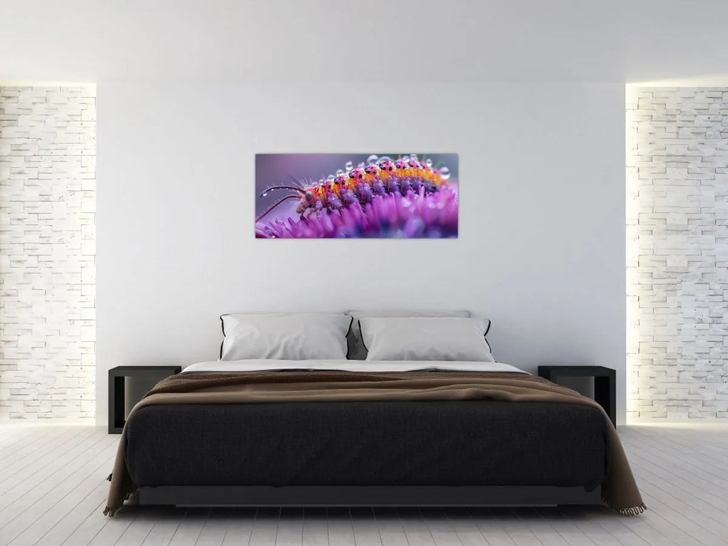 Kép - Caterpillar (120x50 cm)