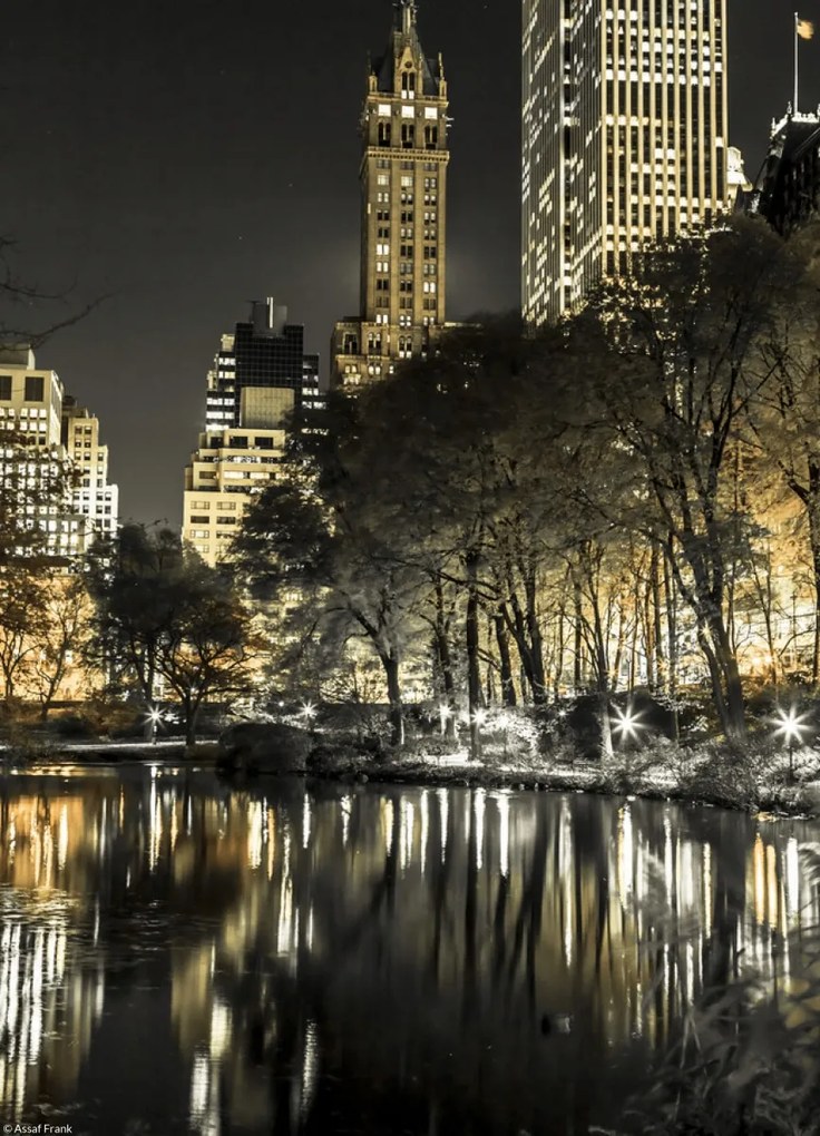 Poszter 20,5x28,4cm Esti kilátás a New York-i Central Parkra 9, Assaf F