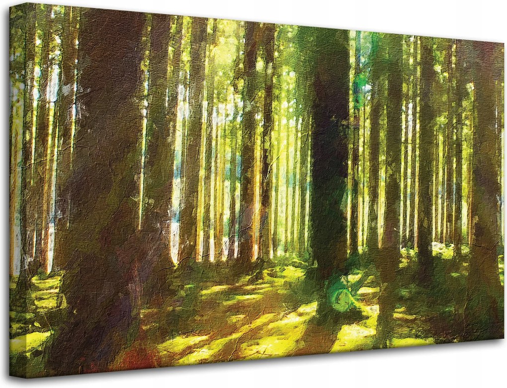 Vászonkép Olajerdő Fák Fény Természet 80x50 cm