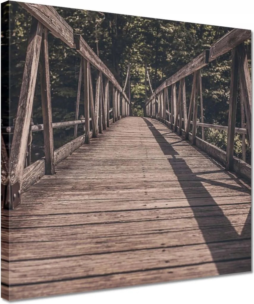 Vászonkép 30x30 Fa híd