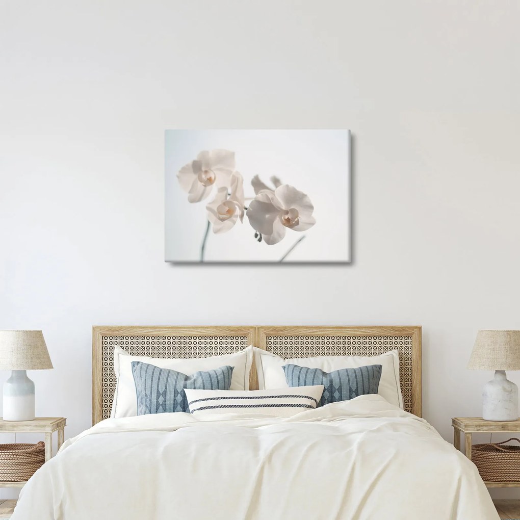 Fehér orchidea képe (70x50 cm)
